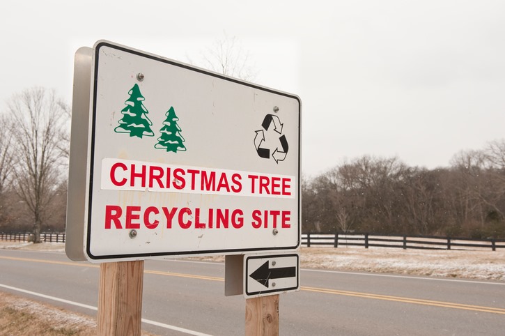 Christmas Tree Recycling