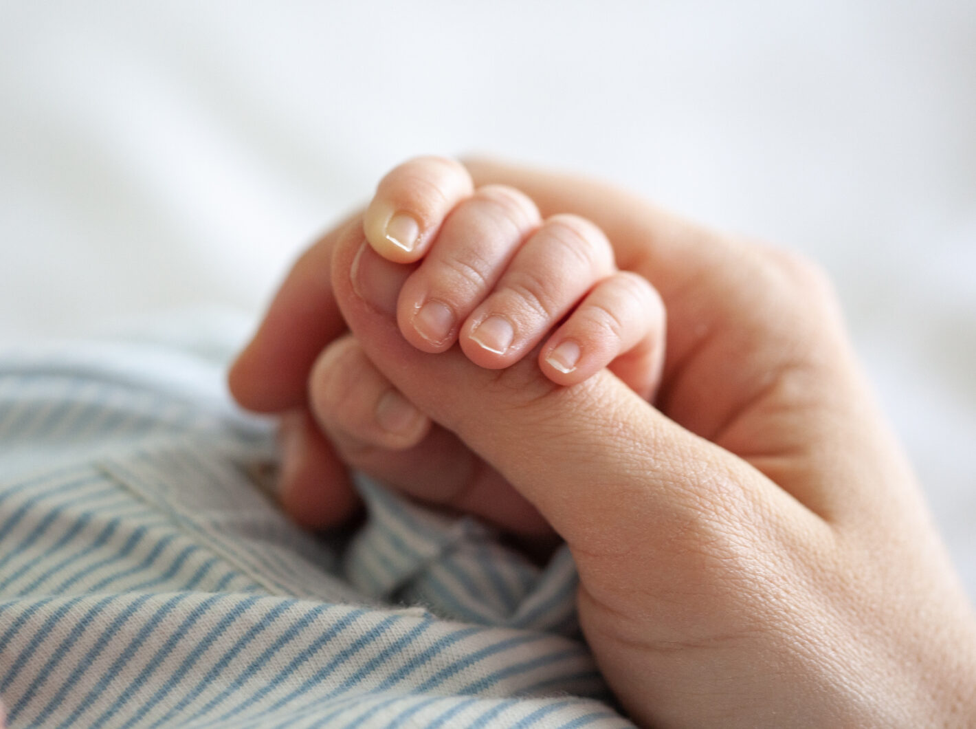 Photo of an adult hand gently holding a newborn's small hand.