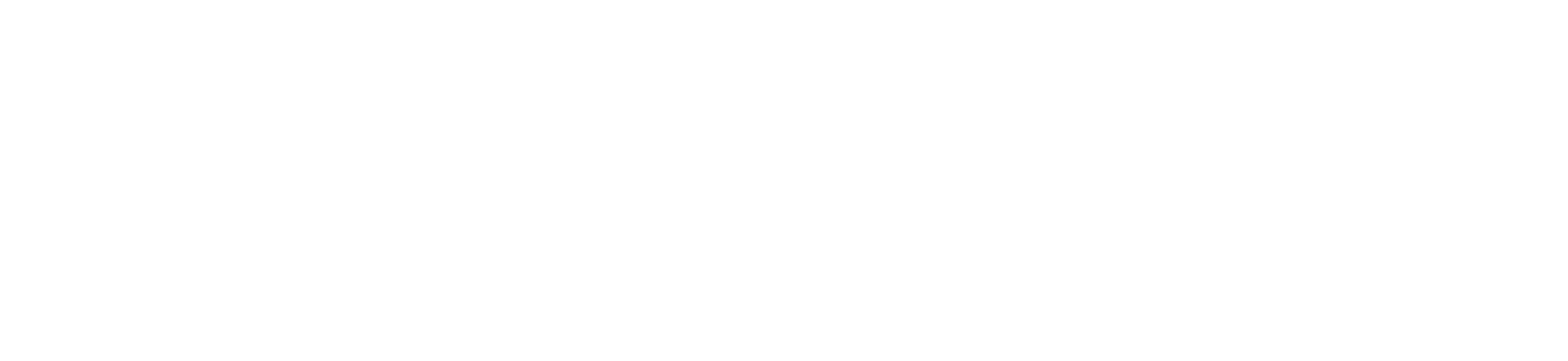 Performance & Business Excellence logo, Adams County Health Department division